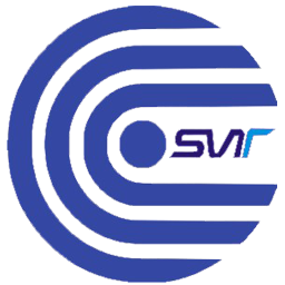 Soft Vision Technologies