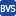 BVS Performance Solutions