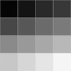 Black and White Mastery