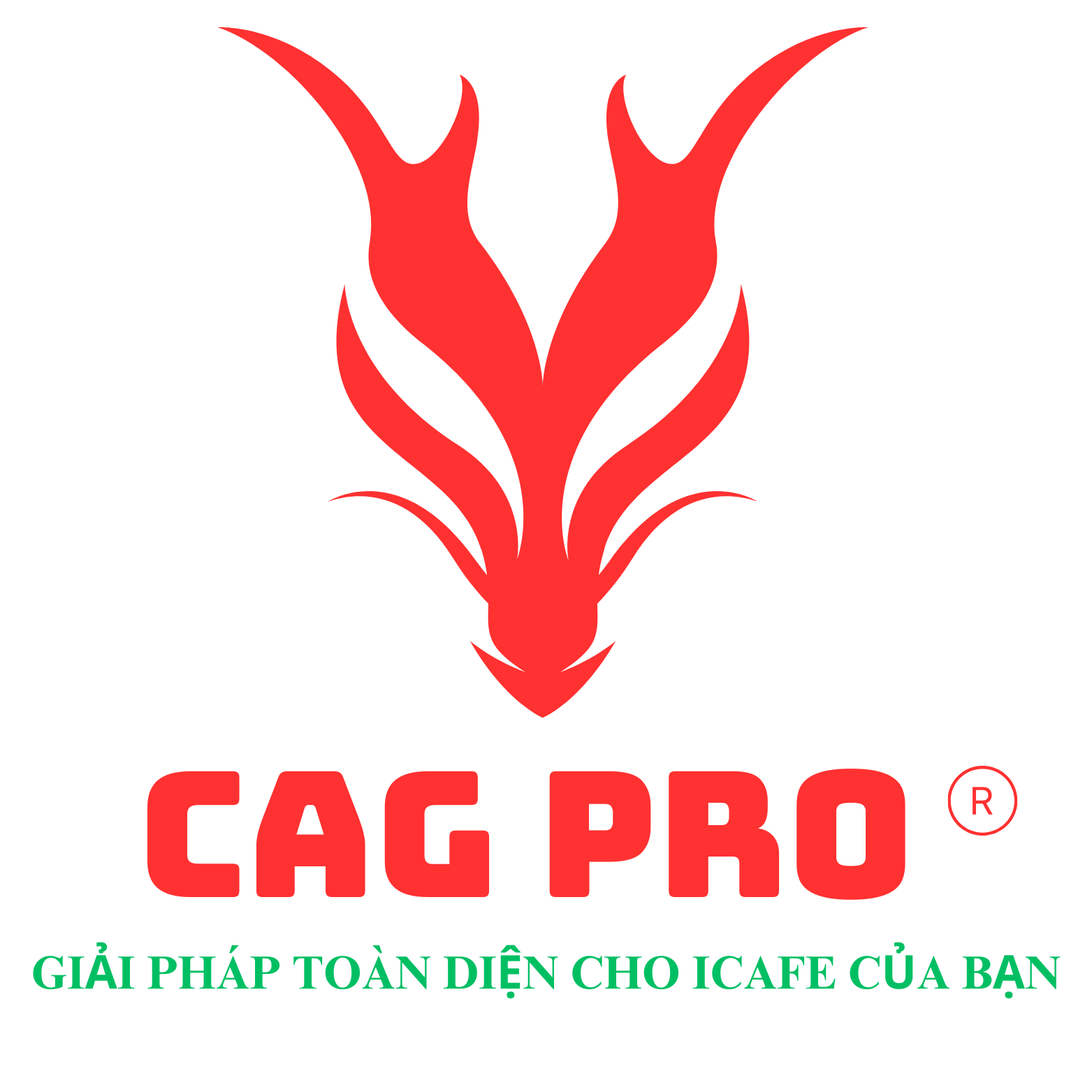 CAG PRO