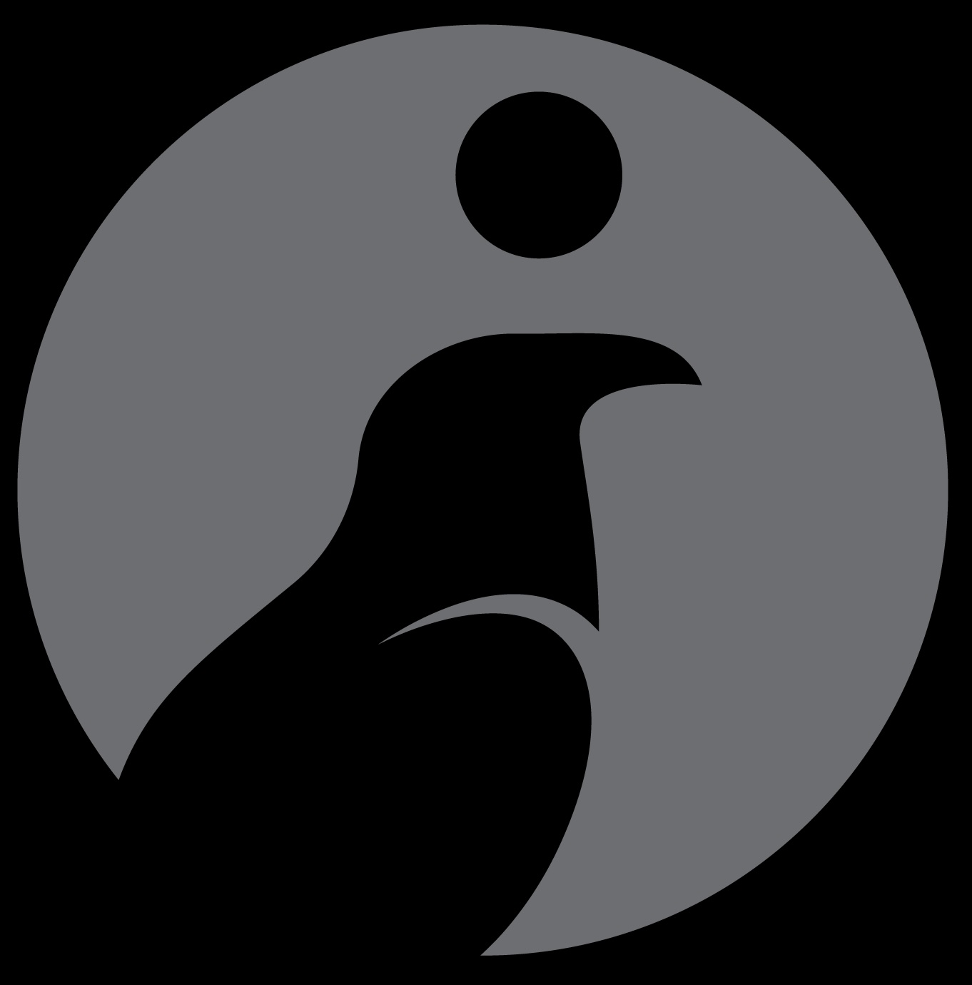Cairo Coder