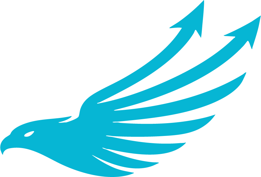 CalcFalcon