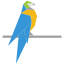 TutiCad