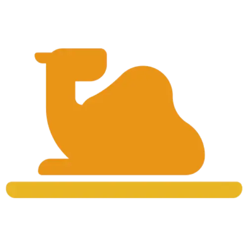 Camel Series