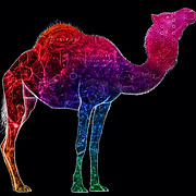 CAMELS