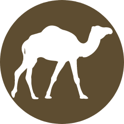 CamelCrusher