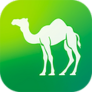 CamelLive