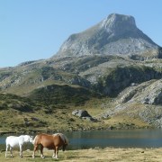 Caminaire