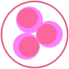 Cancer Cell Lines