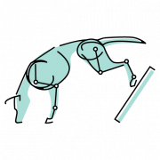 Canine Conditioning Coach