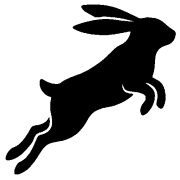 Capital SEO Company