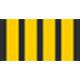 Captain Sim