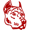 CarDog