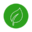 Cassava