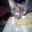 CATAAS