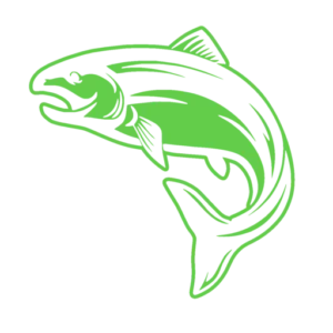Catch Zone
