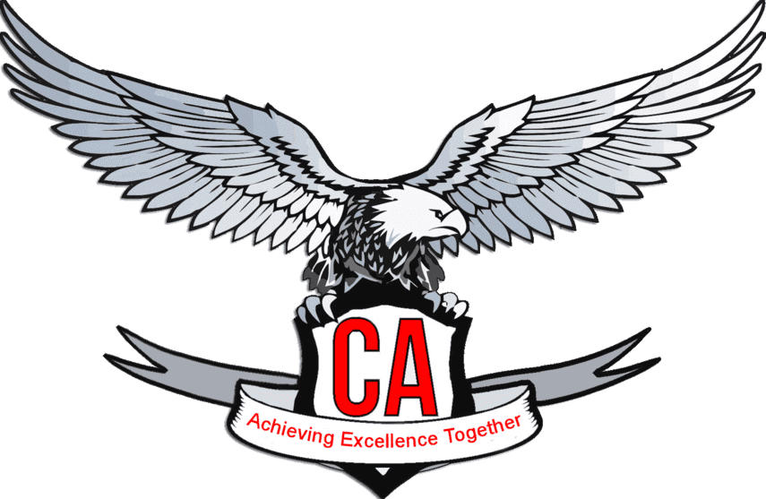 CA Test Series