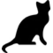 CAT Scanner