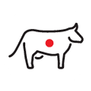 Cattle Scan