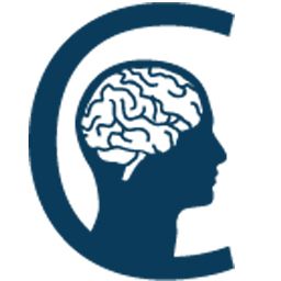 Concussion Awareness Training Tool