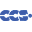 Custom Computer Services, Inc.