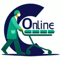 Celadores Online SAS