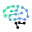 Cerebri