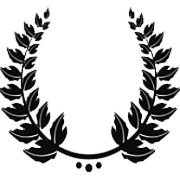 Cerrus Information Technologies