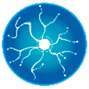 Cervello