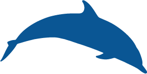 Cetacei FAI Attenzione