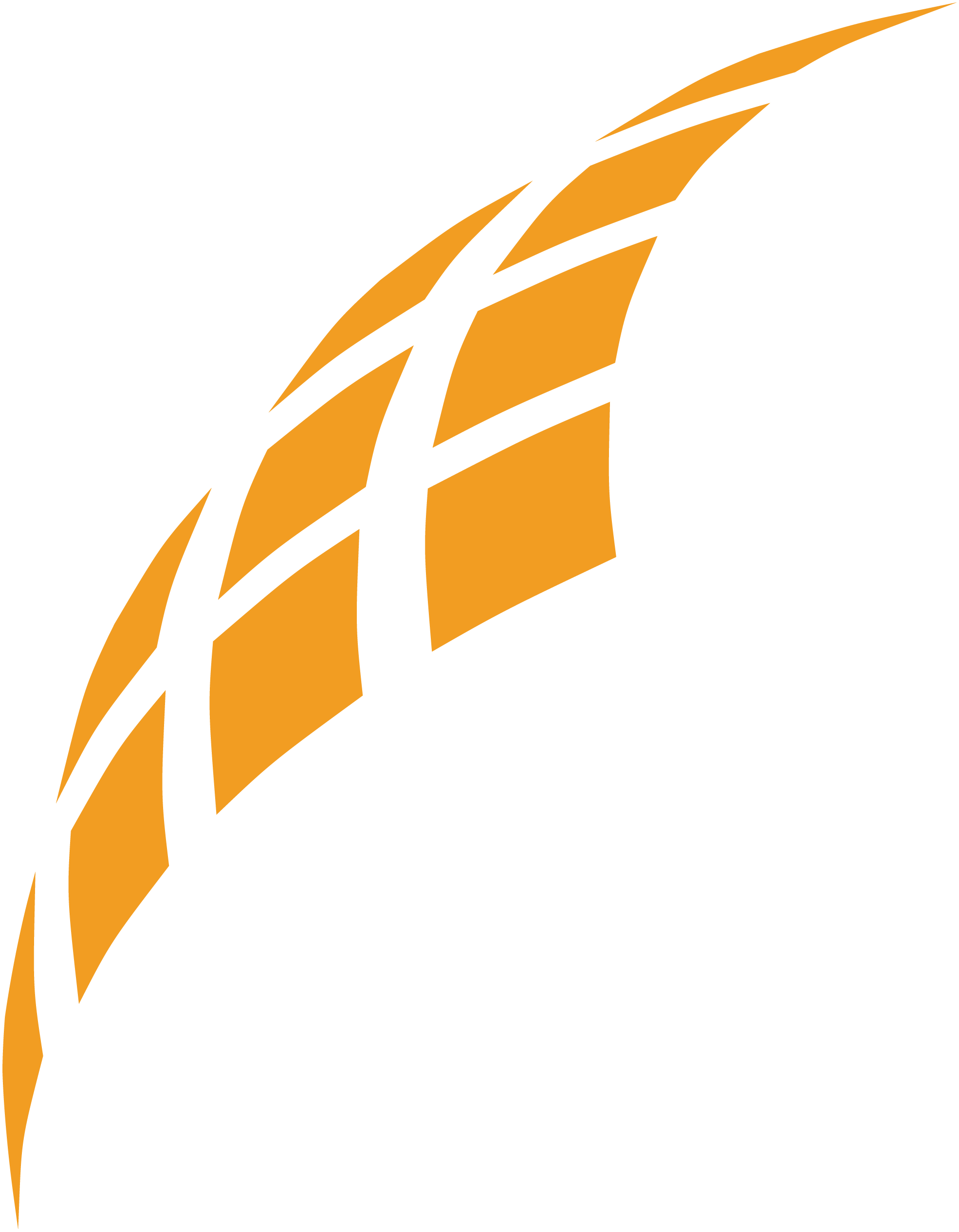 Champ Software