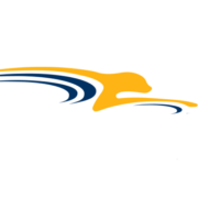 Cheetah Networks
