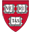 Chest Imaging Platform