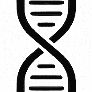 Chord Genome
