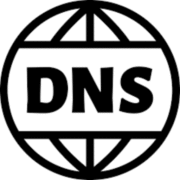 Chrome Net Internals DNS