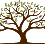 Church of God Network