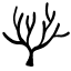 Citation Tree