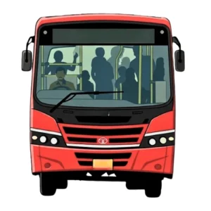 City Buses