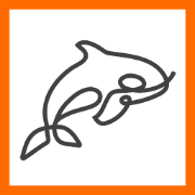 CleverOrcaPN