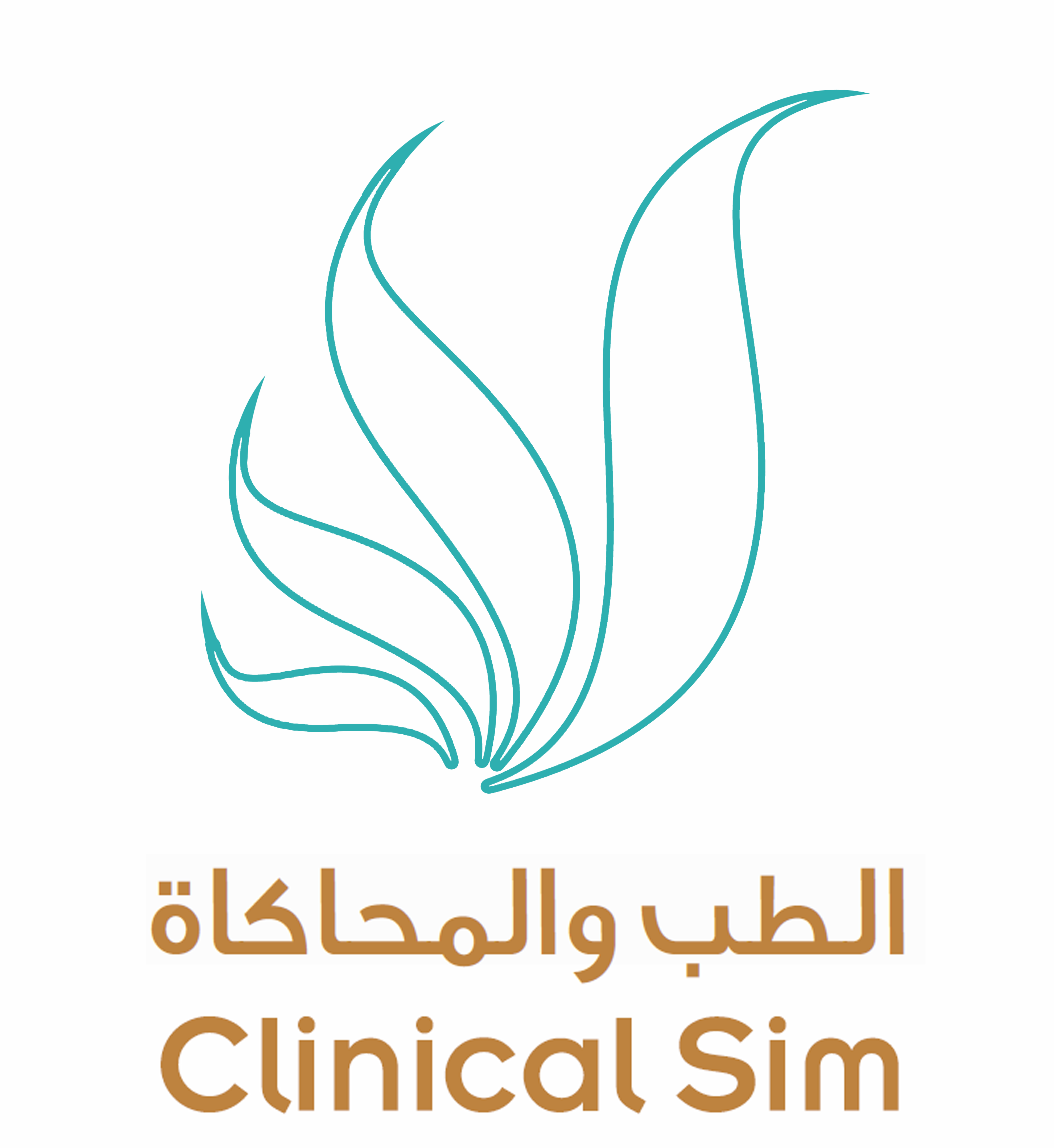 ClinicalSim