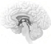 ClinTools Software