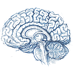CNS Vital Signs