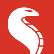 Dynamis COBRA