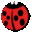Coccinella
