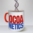 Cocoanetics