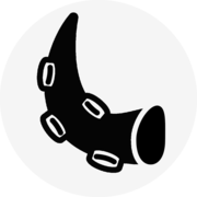 Codectopus