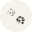 Codex Felis