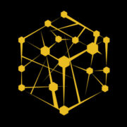 CogNation Digital