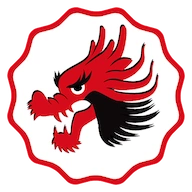 Coin Dragon