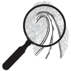 Collision Forensic Solutions